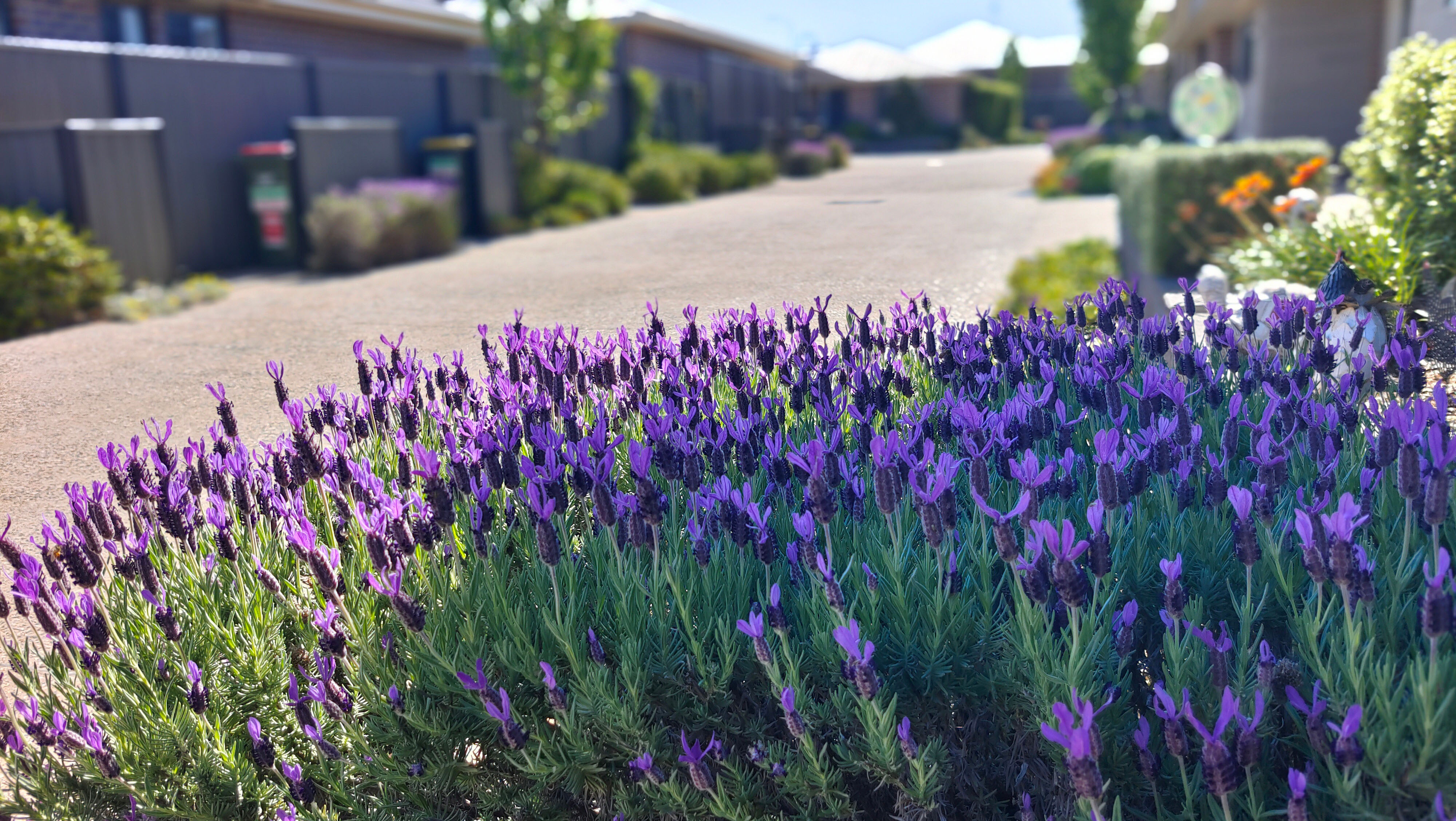Mudgee Retirement Village